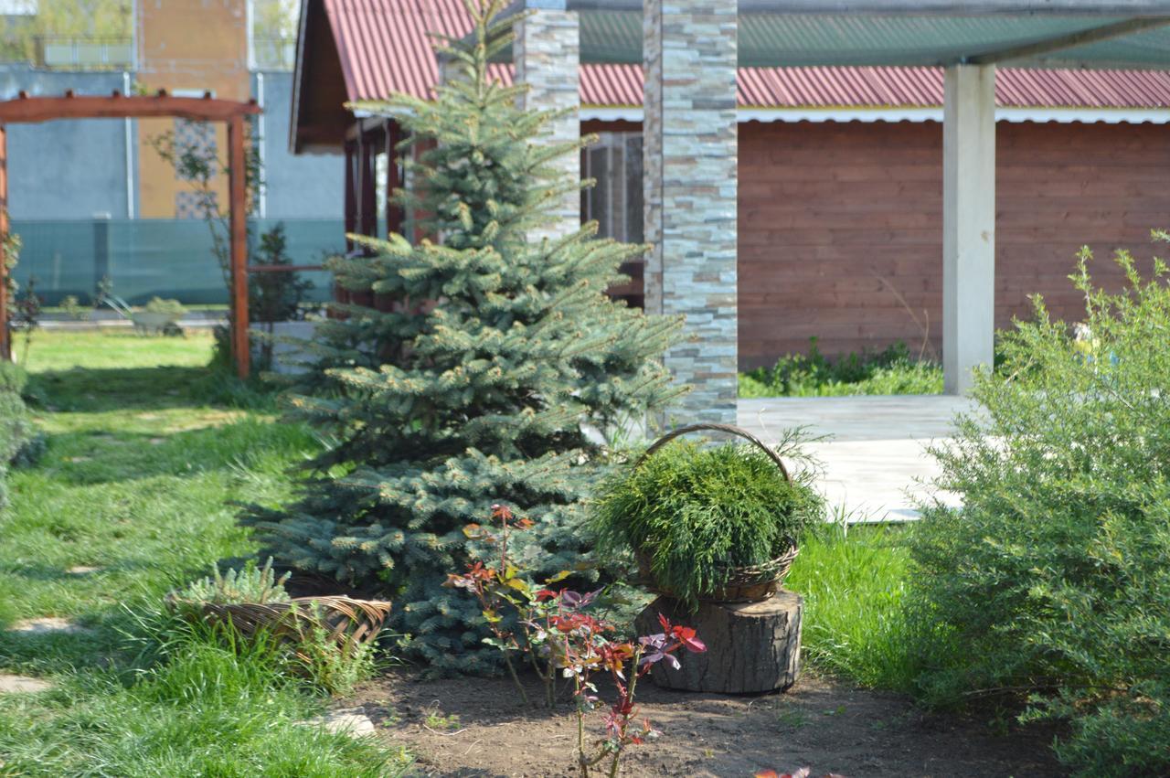 Cabane De Lemn Costinesti Exterior photo