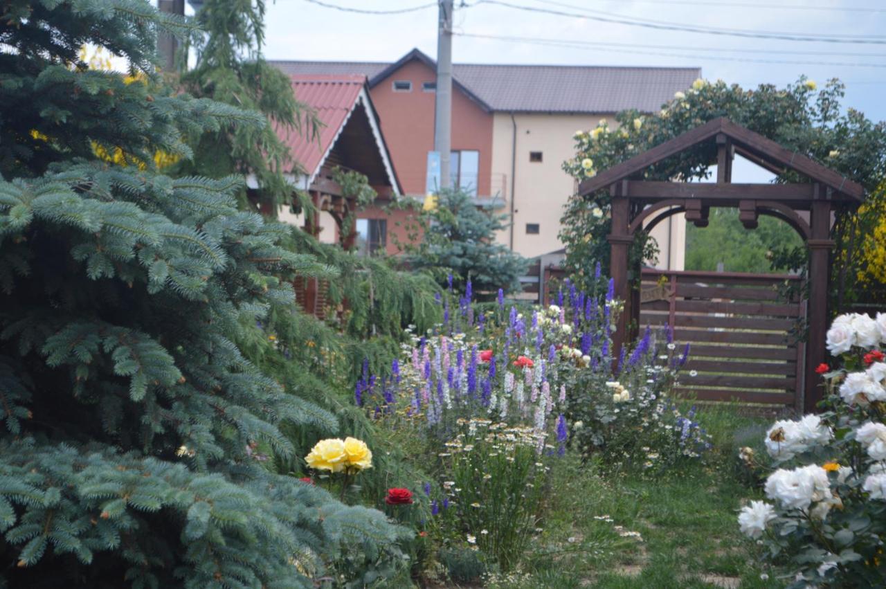 Cabane De Lemn Costinesti Exterior photo