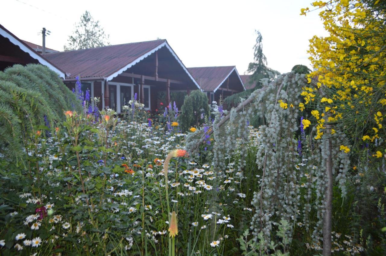 Cabane De Lemn Costinesti Exterior photo